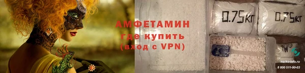 стафф Алексин