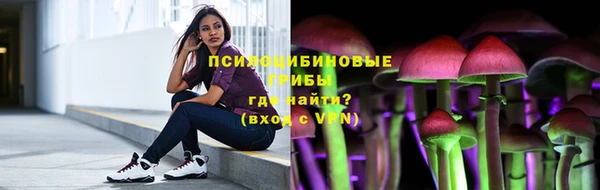 стафф Алексин